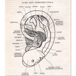 2KAS-500   Terapia częstotliwościami