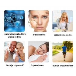 Deklaracja uczestnictwa