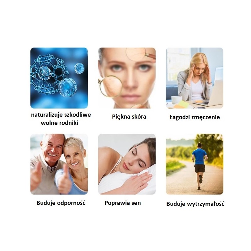 Deklaracja uczestnictwa