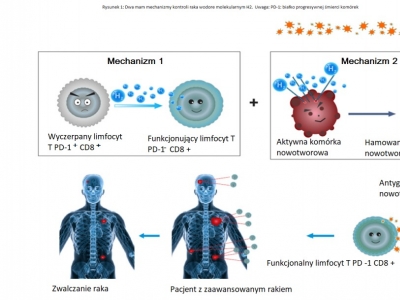 Narracyjny przegląd onkologii wodorowej: