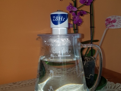 Mechanizm hamowania wpływu wody poddanej obróbce metodą MRET na morfologię mikro