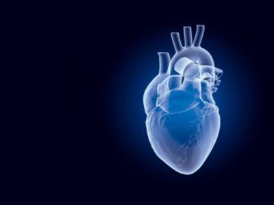 Wodór molekularny a bezpieczeństwo mięśnia sercowego