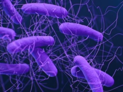 Mikrobiom a wodór molekularny